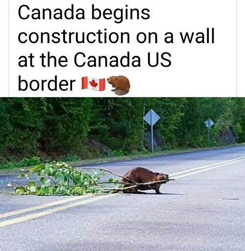 canada builds wall.jpg